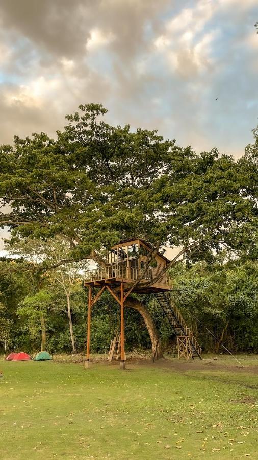 Casa En El Arbol Villa Utica Buitenkant foto